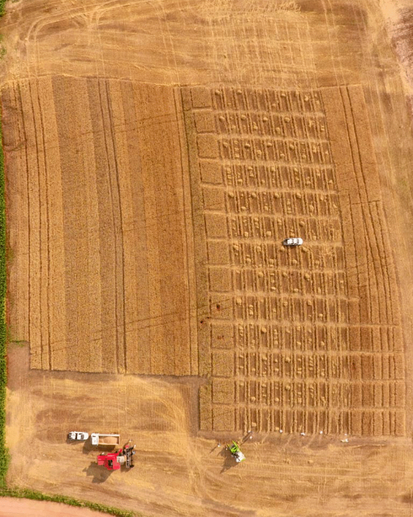 Centro-tecnologico-vaccaro-agro (2)