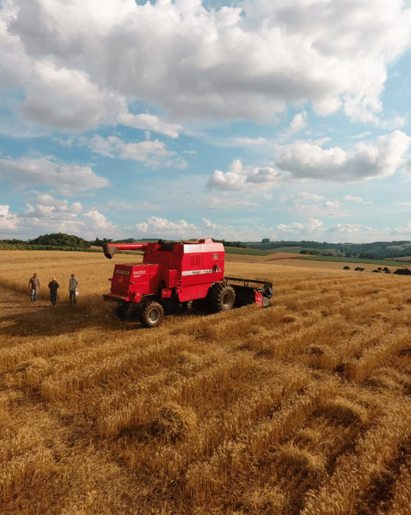 Centro-tecnologico-vaccaro-agro (4)