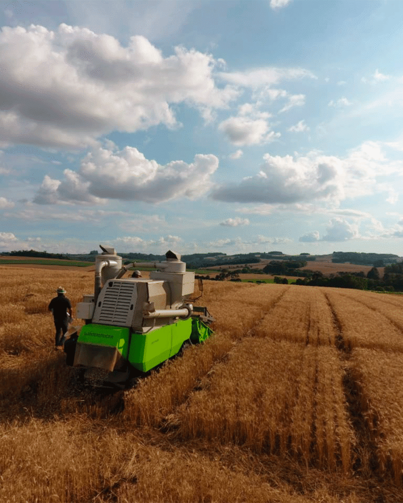 Centro-tecnologico-vaccaro-agro (5)