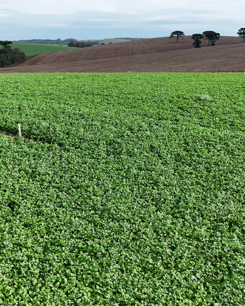 Centro-tecnologico-vaccaro-agro (6)